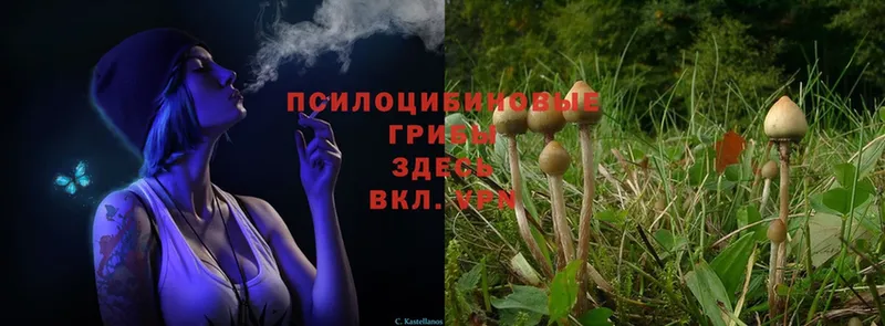 Псилоцибиновые грибы MAGIC MUSHROOMS  Ноябрьск 